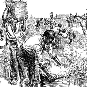 Mojito a otroci na trstinových plantážach