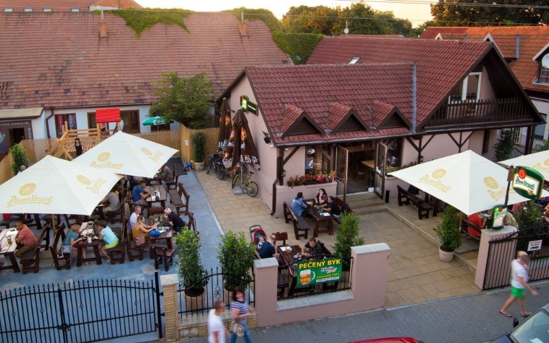 Pivárnička, Hlohovec, degustácia rumu